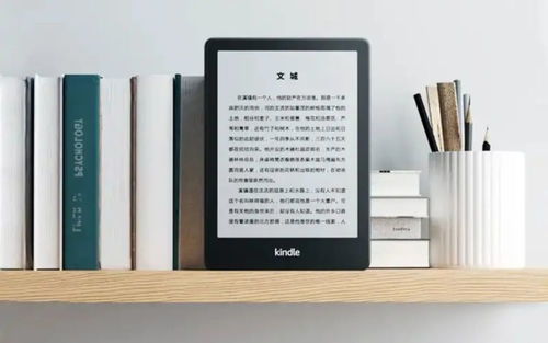 如果Kindle退出中国，国产阅读器是更好的“泡面盖子”吗？