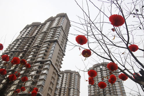 春节楼市成交暴跌五成，一线城市全靠上海撑着，深圳新房0成交