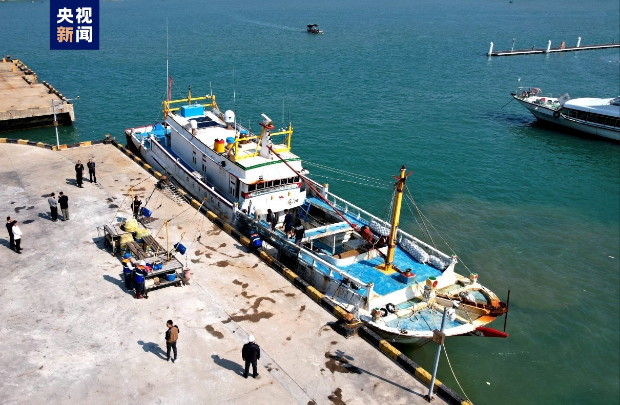 台湾地区石斑鱼恢复输入，首批活鱼运抵福建东山港