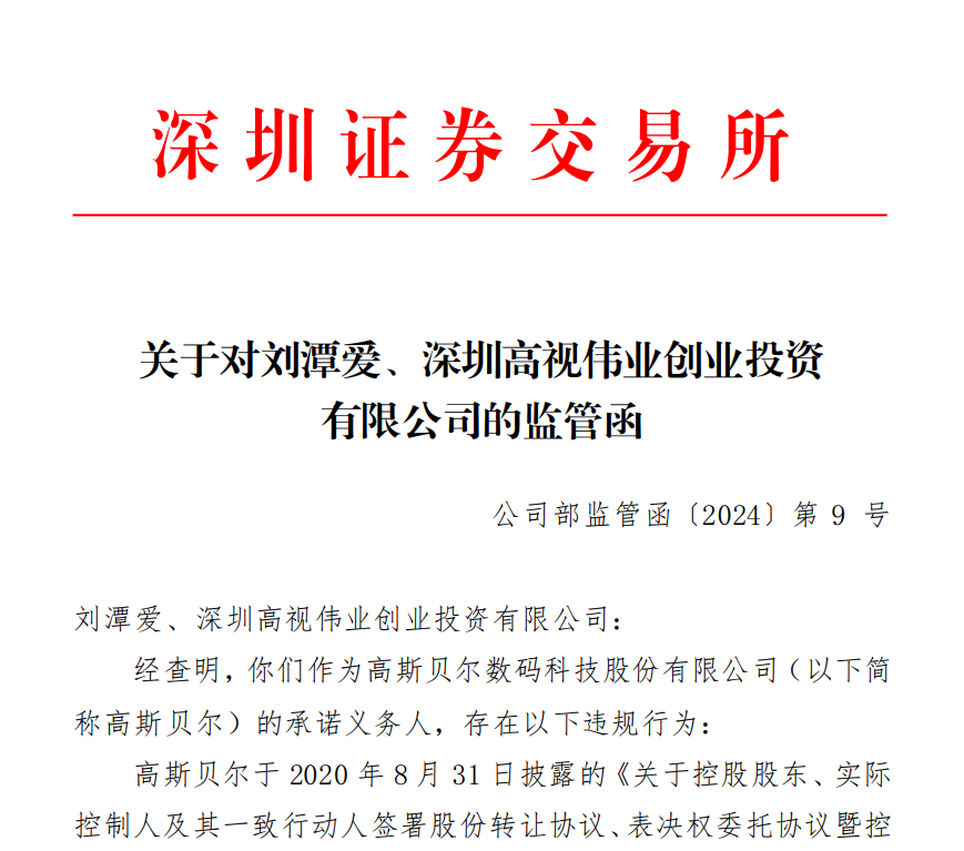 深交所关于对刘潭爱、深圳高视伟业创业投资 有限公司的监管函