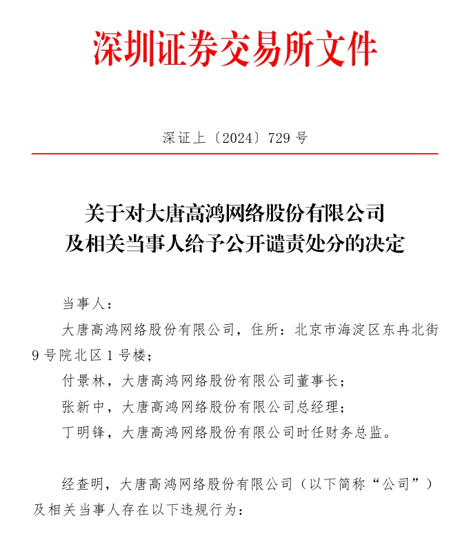 深交所关于对大唐高鸿网络股份有限公司  及相关当事人给予公开谴责处分的决定