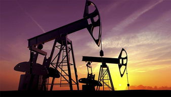 国际能源署上调今明两年全球石油需求