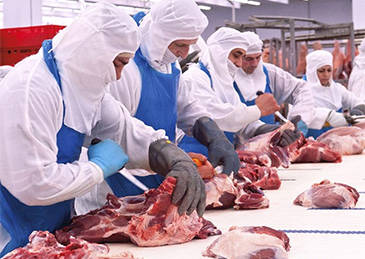 商务部延长对欧盟进口猪肉及猪副产品反倾销调查期限至2025年12月16日
