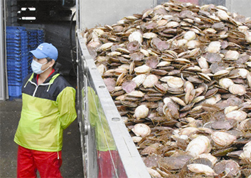 日本8月对华水产品出口额减少65.7%，预计9月会更惨