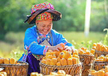 国家统计局：2023年全国粮食总产量69541万吨 同比增长1.3%