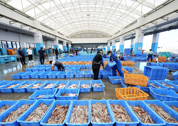 海关总署：有条件恢复日本部分地区水产品进口