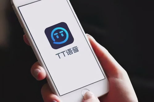 趣丸网络IPO：营收九成依赖TT语音 上半年亏损近10亿