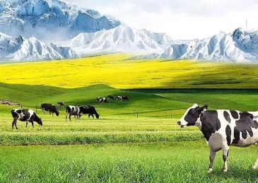 天润乳业上半年最高预亏2600万，亏损同比收窄但压力仍存