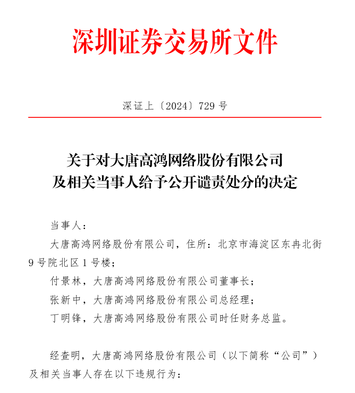 深交所关于对大唐高鸿网络股份有限公司及相关当事人给予公开谴责处分的决定