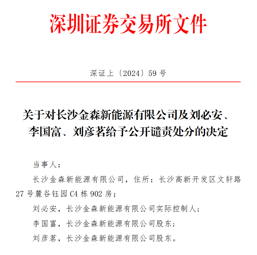 关于对长沙金森新能源有限公司及刘必安、 李国富、刘彦茗给予公开谴责处分的决定