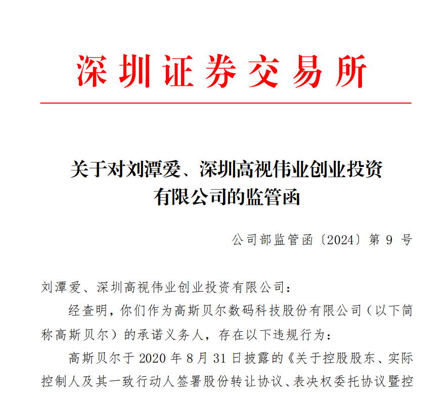 深交所关于对刘潭爱、深圳高视伟业创业投资 有限公司的监管函